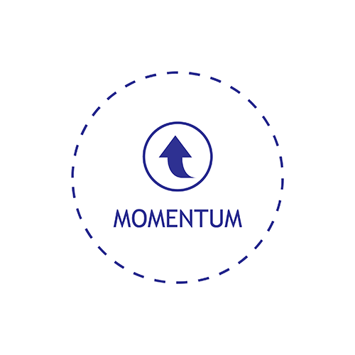 i2i - Success Blueprint - Momentum